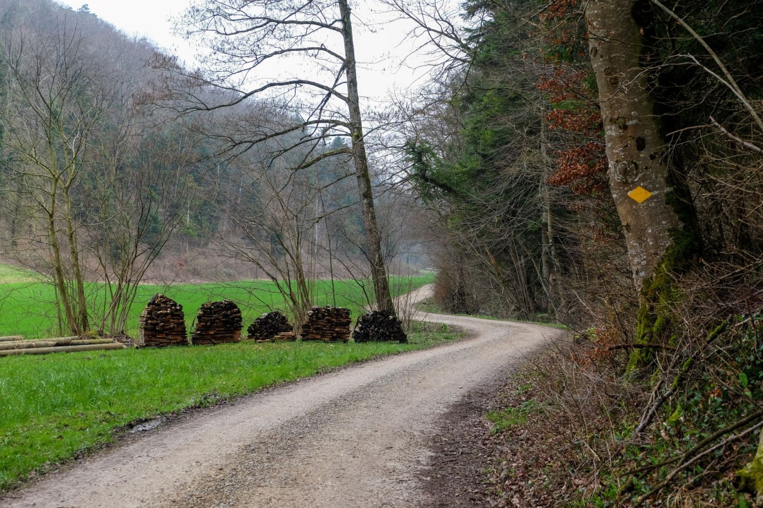 Chemin faisant dans la petite vallée de Tal, où l’on découvre de nombreuses structures proches de la nature, comme ces tas de branches