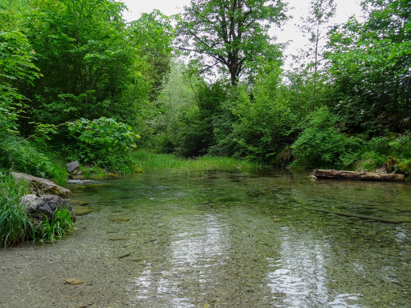 L’eau claire de la Sarine accompagne randonneuses et randonneurs.