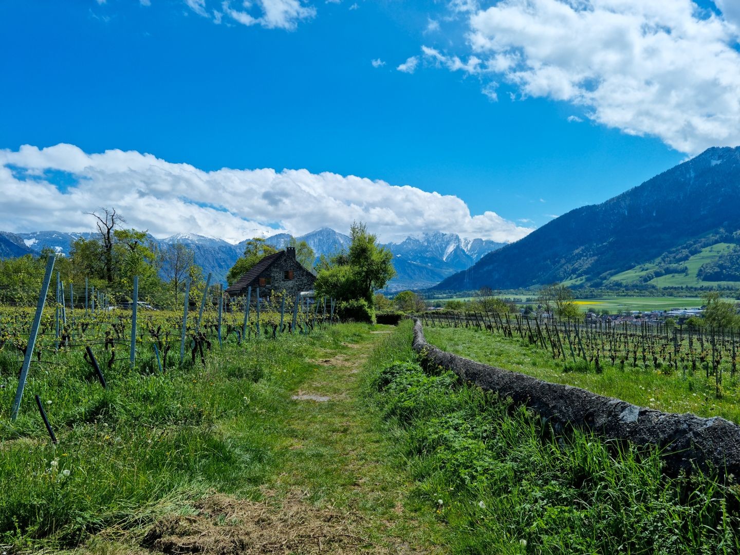 Vue côté sud, vers le Churer Rheintal