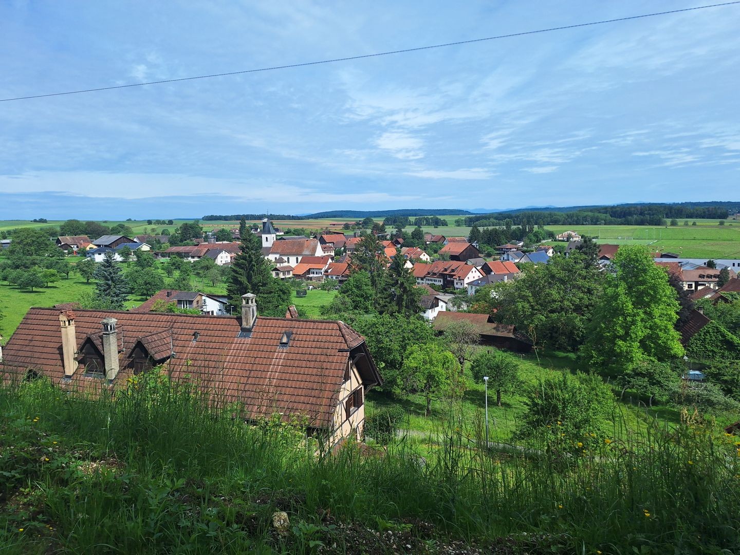 Zwischen den Bäumen bietet sich ein Ausblick Richtung Vendlincourt.