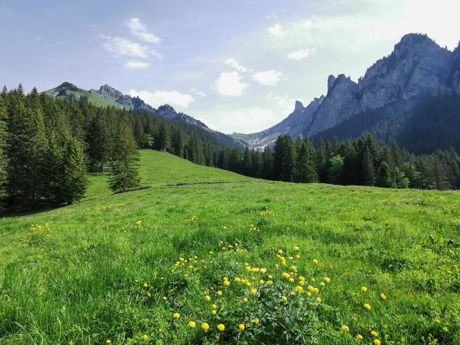 Ein weiterer grandioser Ausblick von Schwand Richtung Schynige Platte. Bild: Andreas Staeger