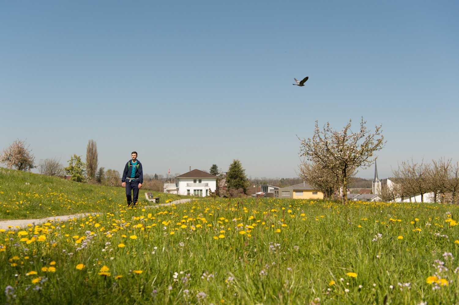 En compagnie d’un oiseau à Roggwil. Photo: Raja Läubli