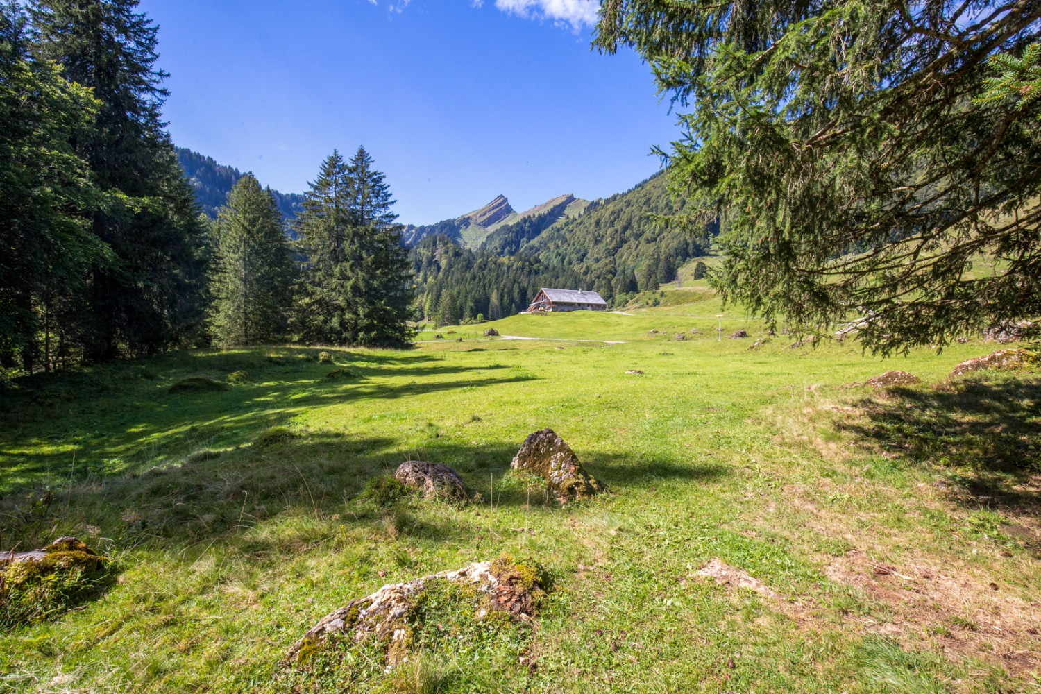 Bei Stofel hat man einen tollen Blick auf den Speer. Bild: Daniel Fleuti 
