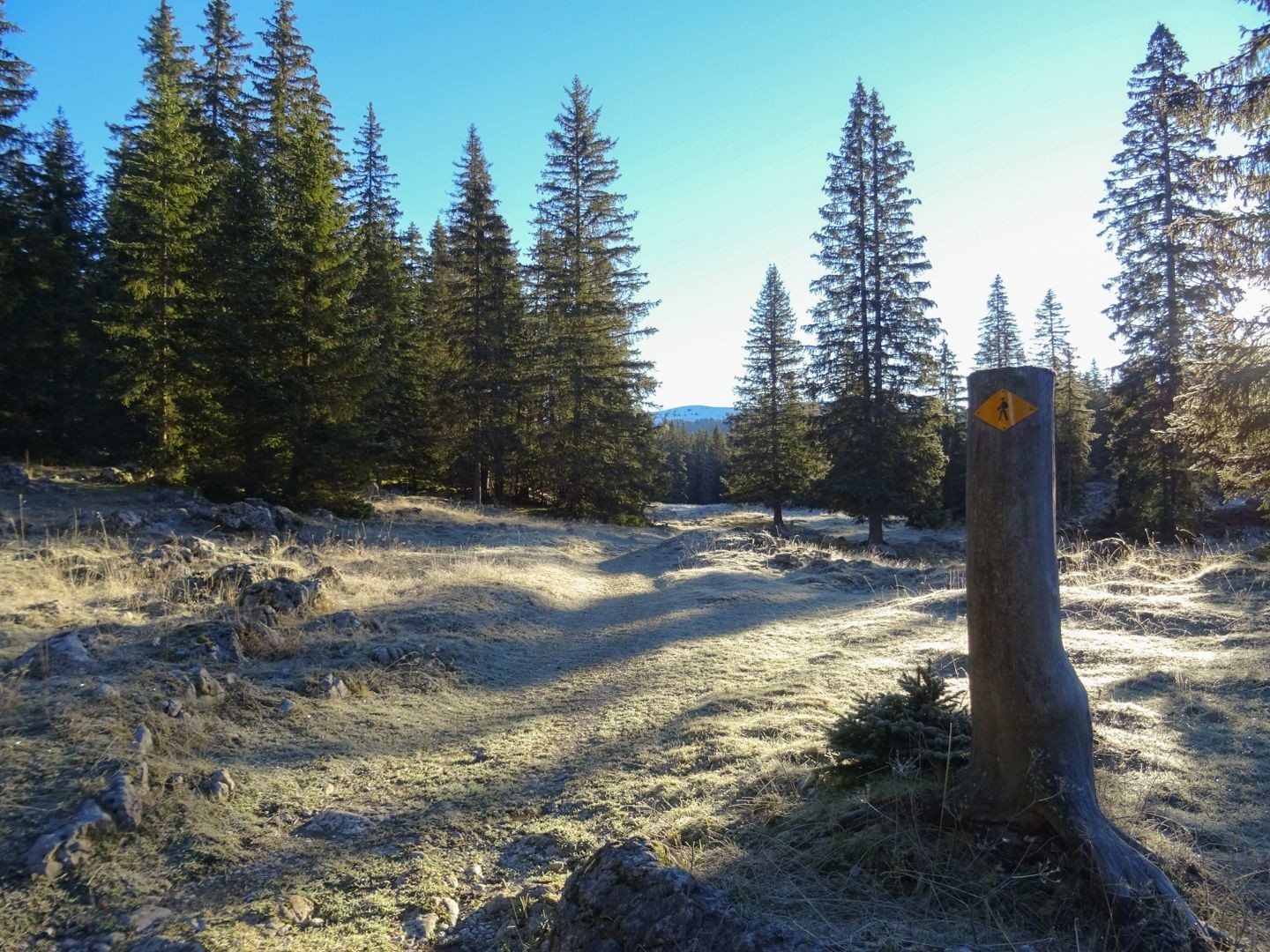 Der Mont Tendre ist auf der Wanderung lange nicht zu sehen.