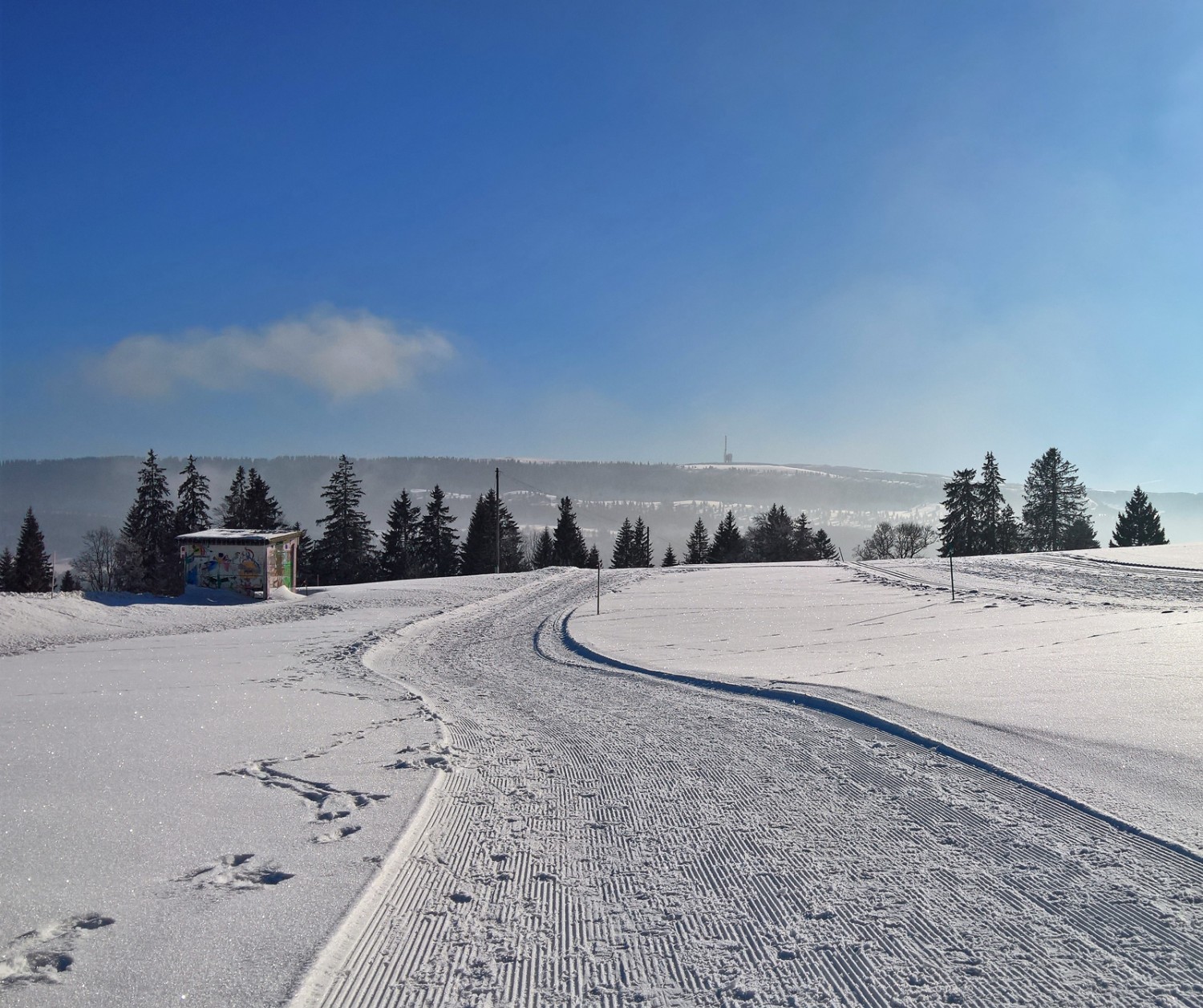 Sur le Mont-Soleil, le soleil brille bien souvent. Photo: Andreas Staeger