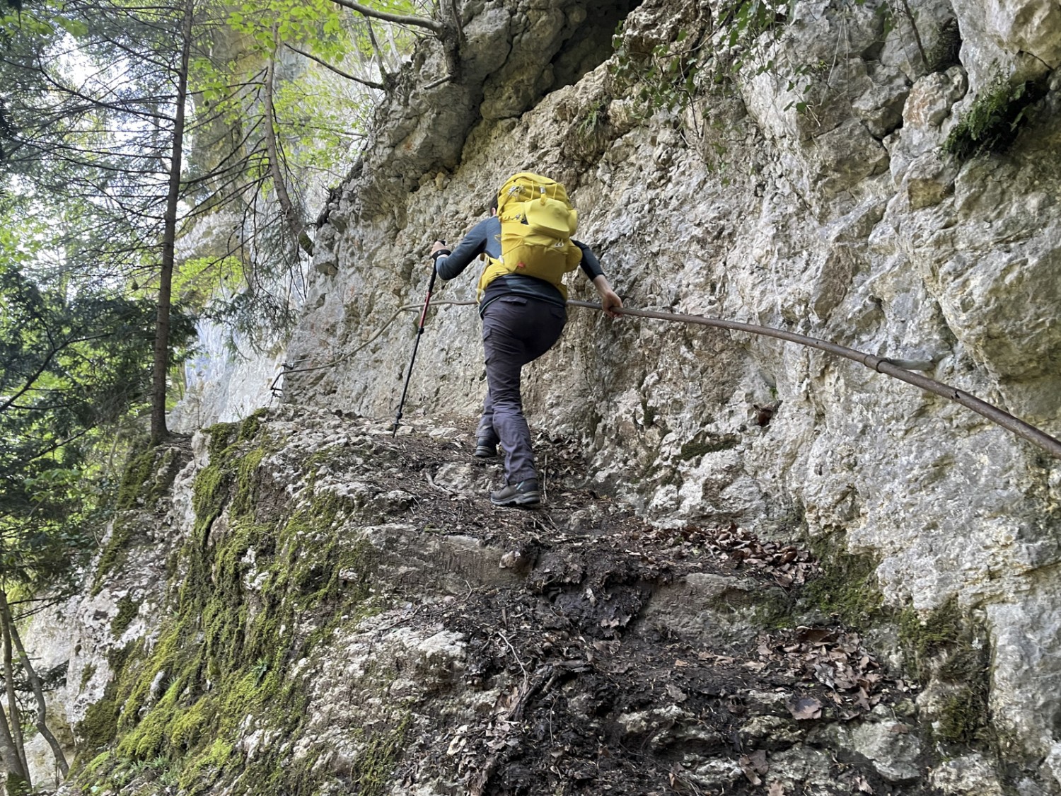 Des mains courantes bien utiles sur le chemin de randonnée de montagne en direction d’Orbe.
Photo: Rémy Kappeler