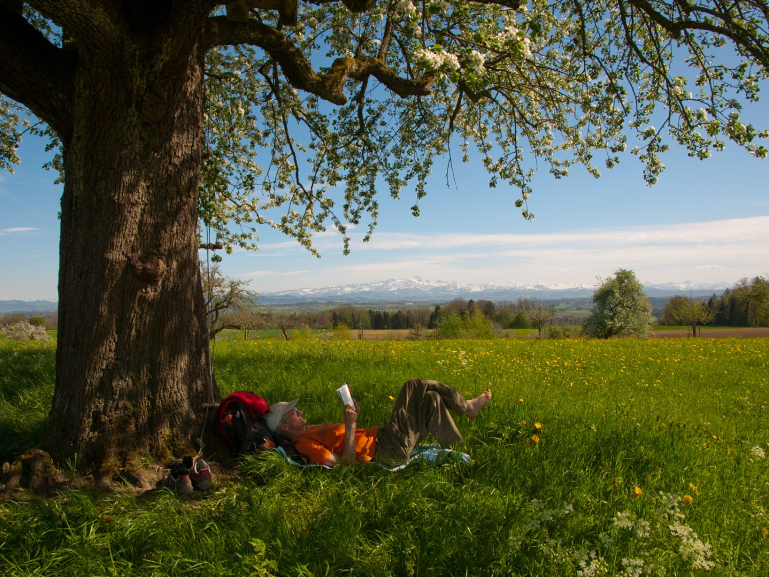 Une pause idyllique. Photo: Heinz Staffelbach