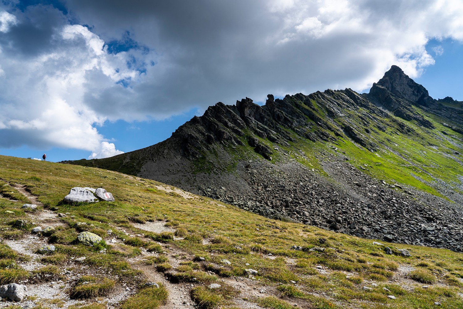 Au col de Plasseggen: crête menant au col de Sarotla. Photos: Severin Nowacki