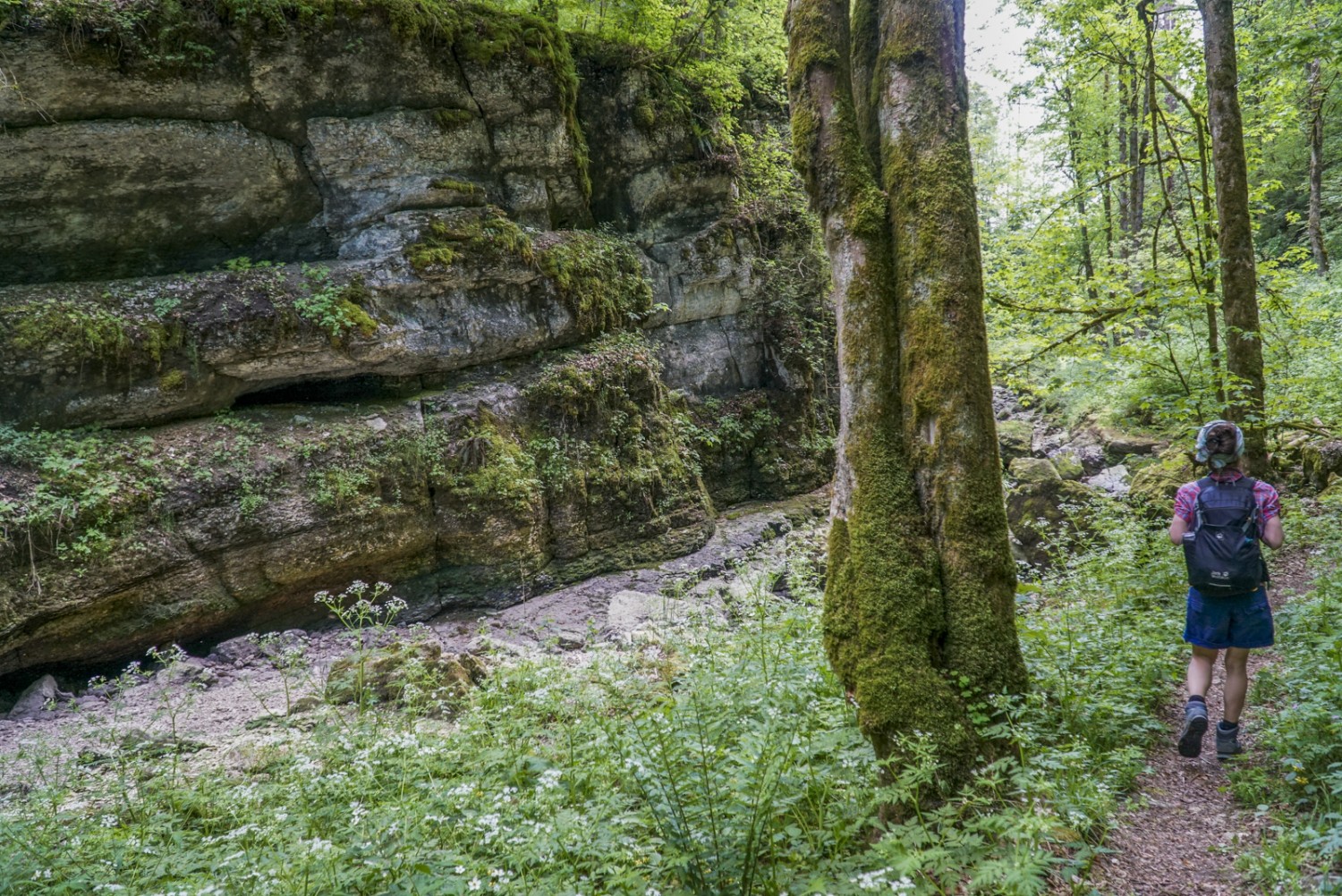 Typisch für die Schluchtenwanderung: Schatten, Fels und trockenes Bachbett. Bild: Mia Hofmann