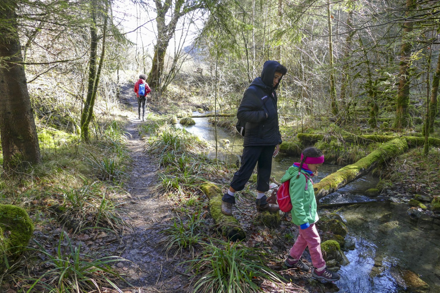 Une nature non domestiquée: un petit ruisseau s’écoule parallèlement à la Simme. Photo: Kim Bütikofer 