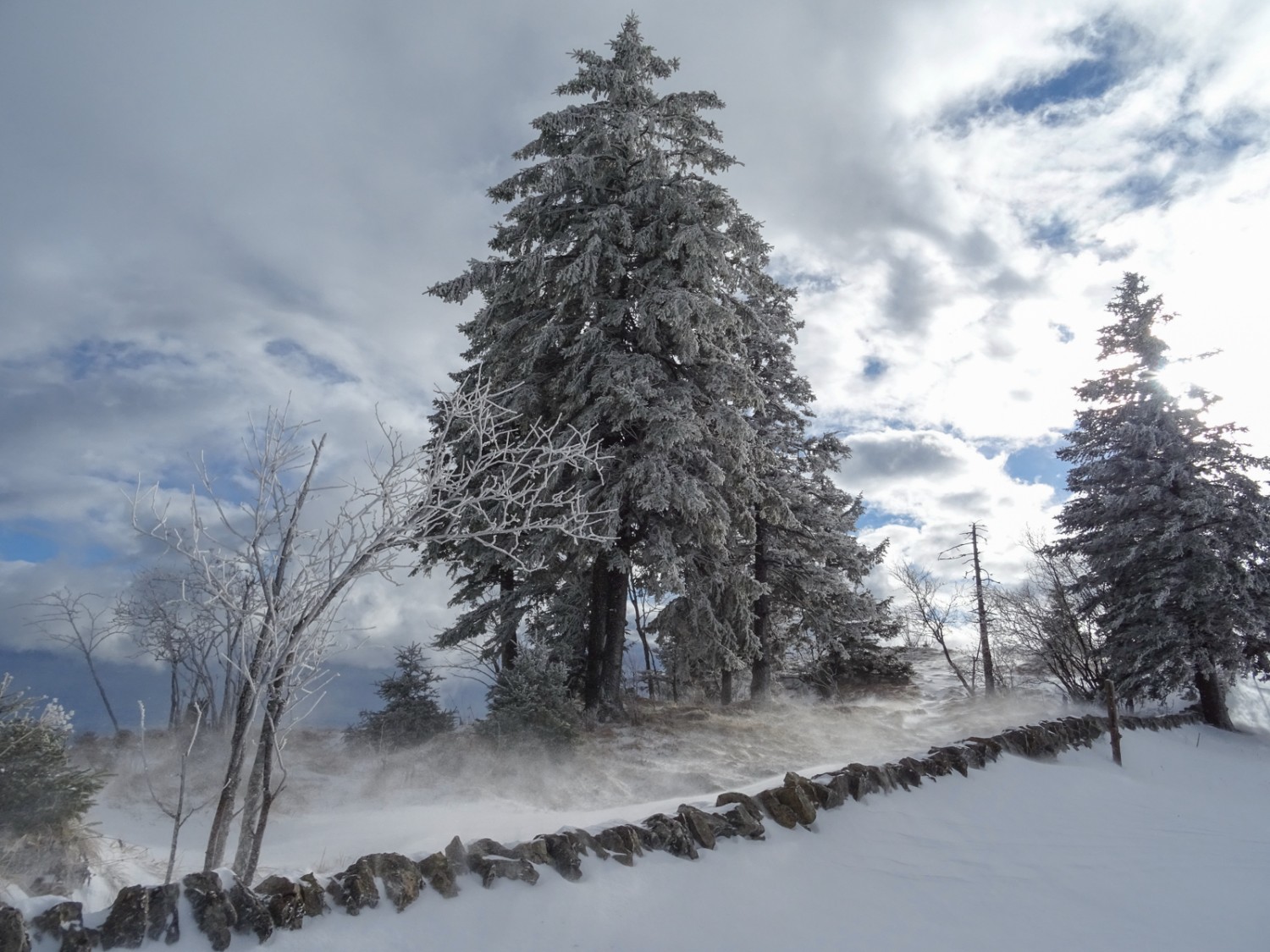 Les vents violents ont chassé la neige par-dessus un mur en pierres sèches. Photo: Sabine Joss