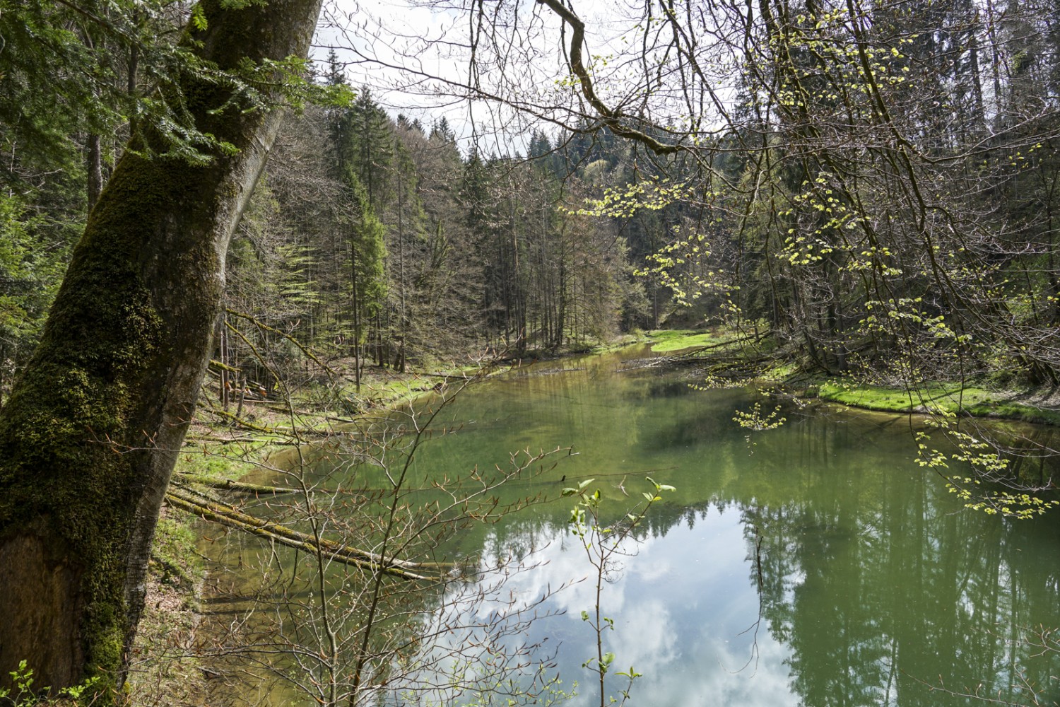 Im Wissbachtobel gibt es mehrere kleine Stauseen.