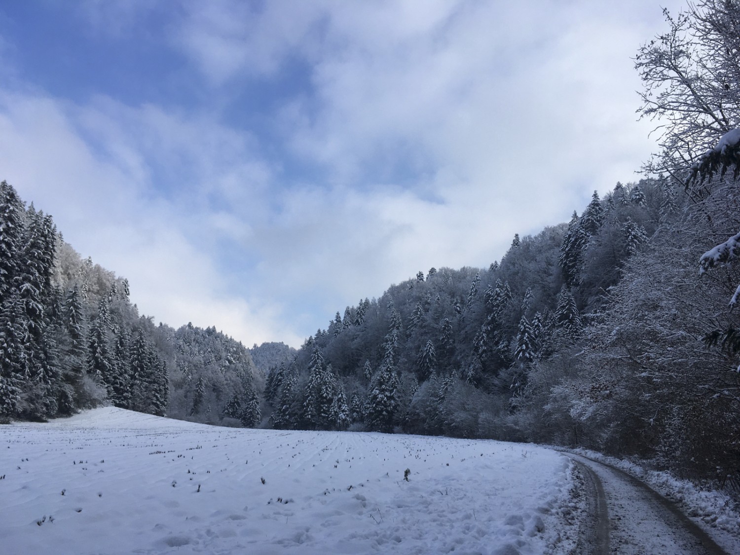 Verschneiter Graben kurz nach der alten Schwarzwasserbrücke. Bild: Jürg Steiner