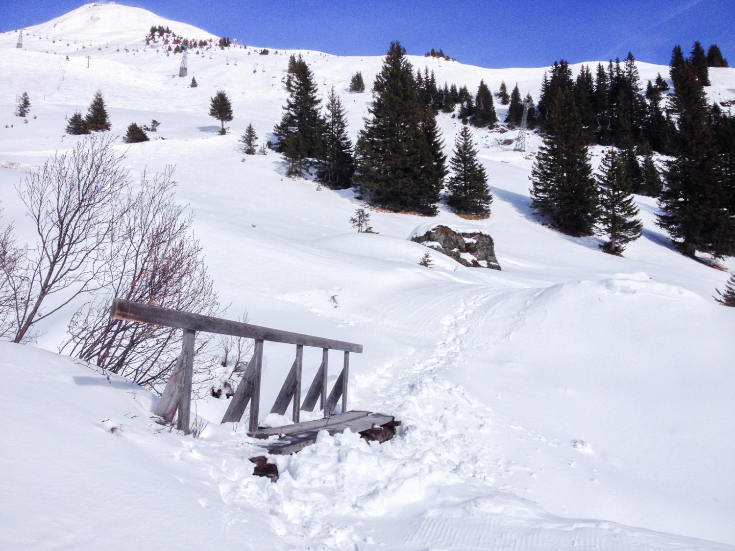 On y est presque! Le pont en bois nous mène au dernier tronçon. Photo: Claudia Peter