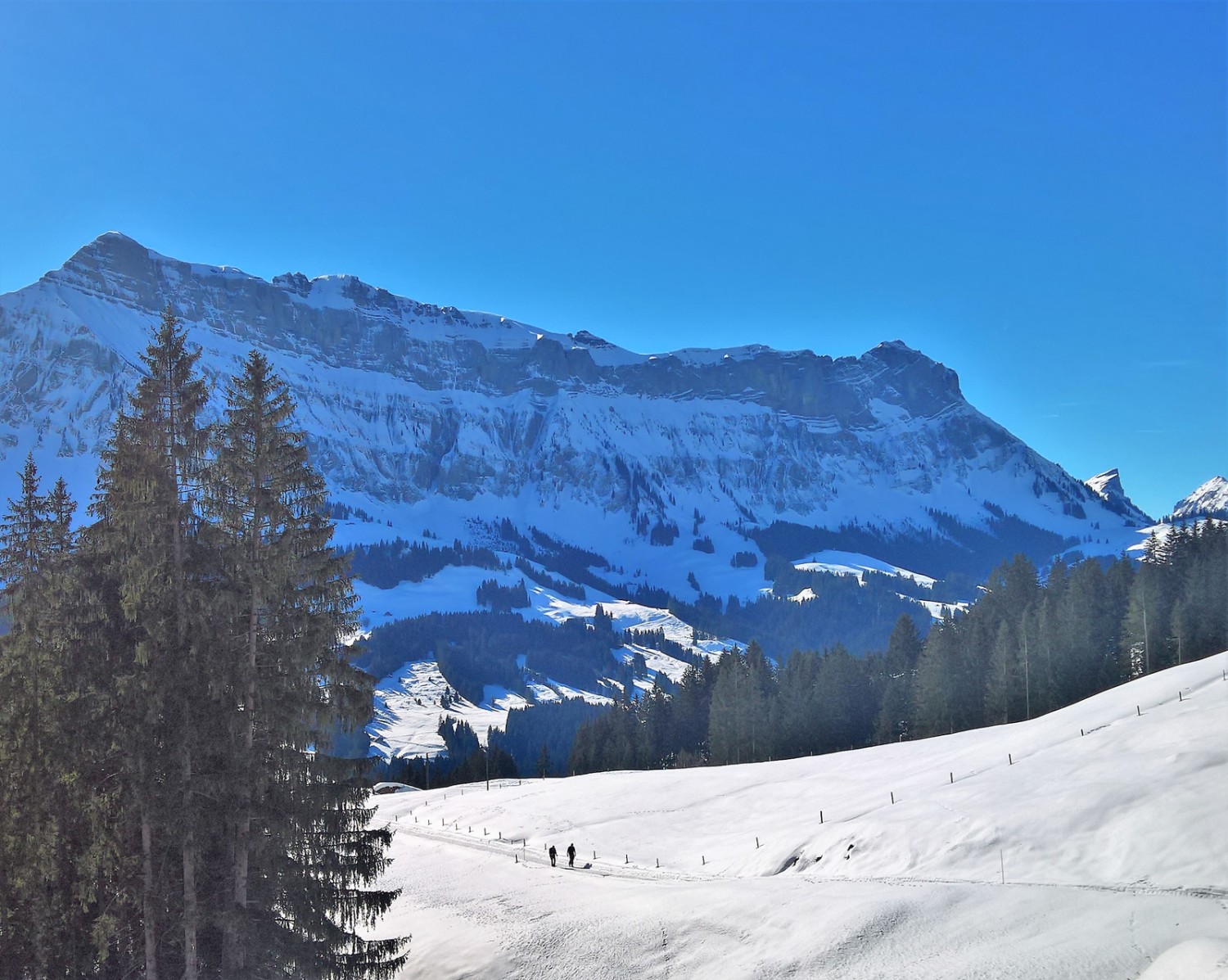 Dans la descente vers Bumbach, avec le Hohgant en second plan. Photo: Andreas Staeger