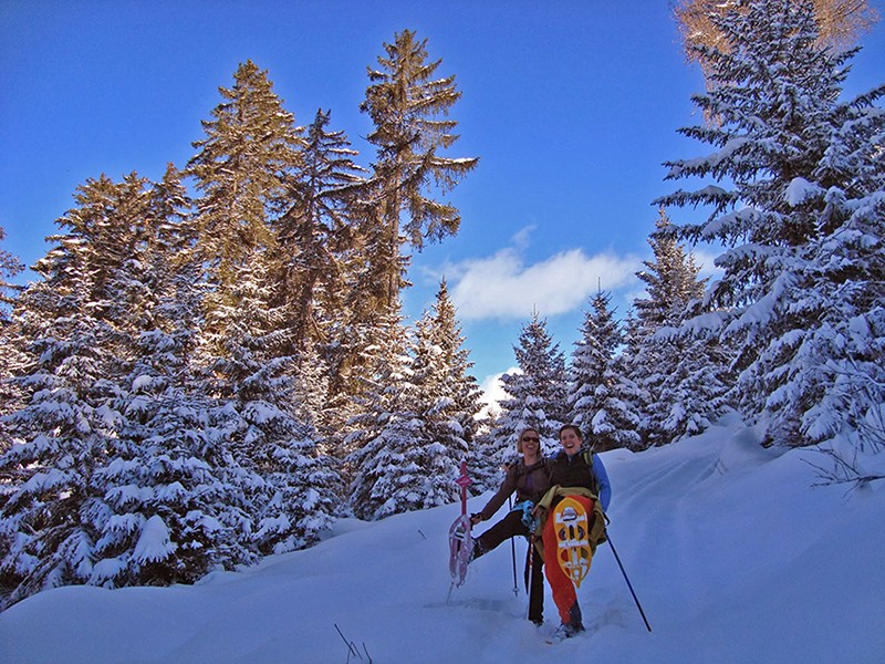 La beauté des forêts enneigées réjouira les randonneurs à raquettes. Photo: Veysonnaz Tourisme