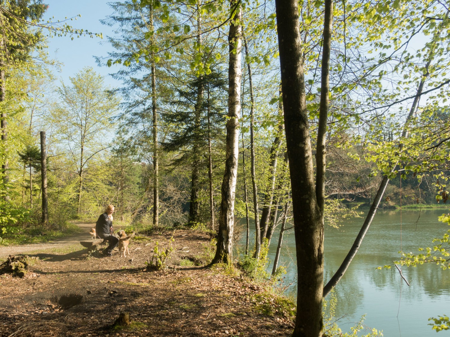 La première halte: peu après Bremgarten, dans le domaine de Burgrain, un banc invite à admirer la Reuss. Photo: Randy Schmieder