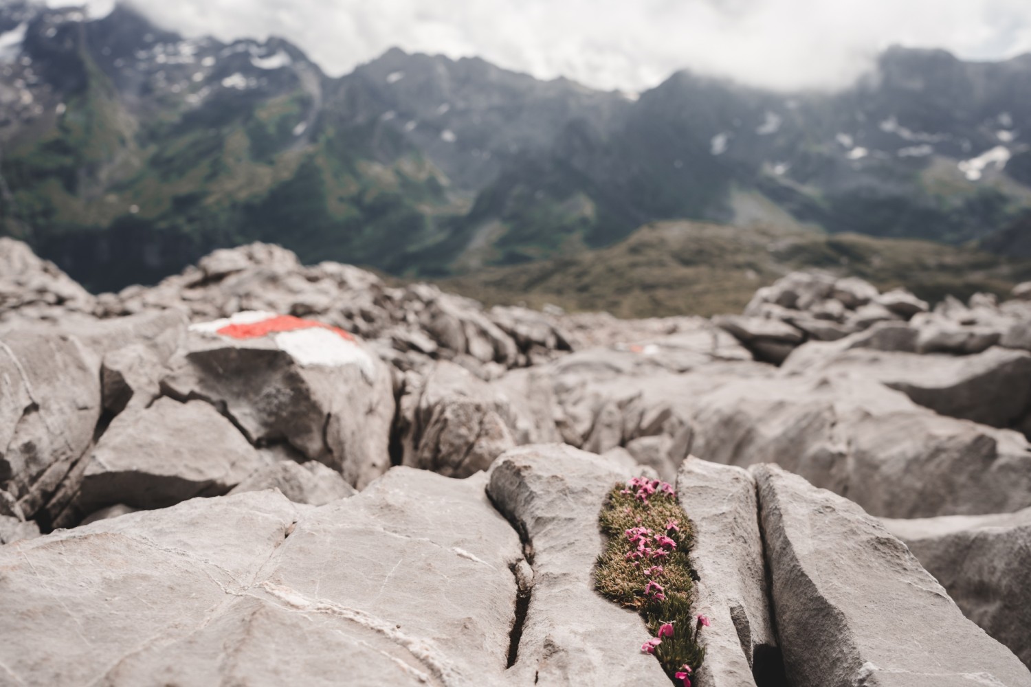 Foto: Stoos-Muotatal Tourismus, Schwyzer Wanderwege