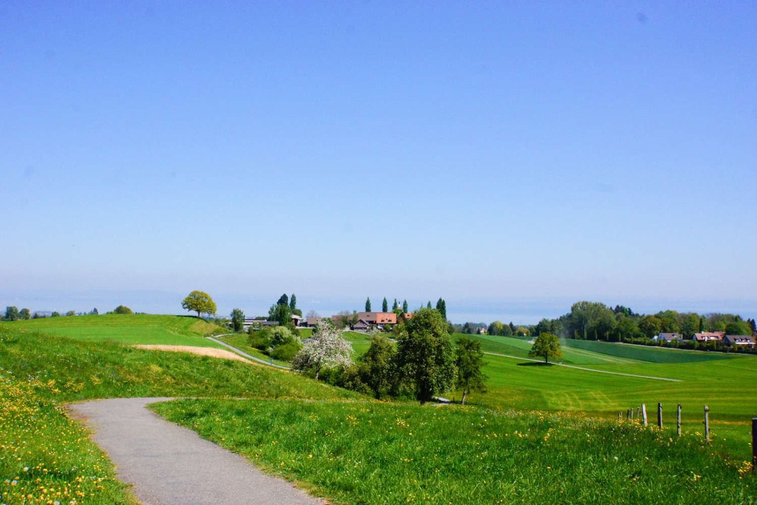 In vari punti lungo il cammino si gode della veduta sul lago di Costanza, come qui poco prima di raggiungere l’azienda agricola Schloss Watt. 