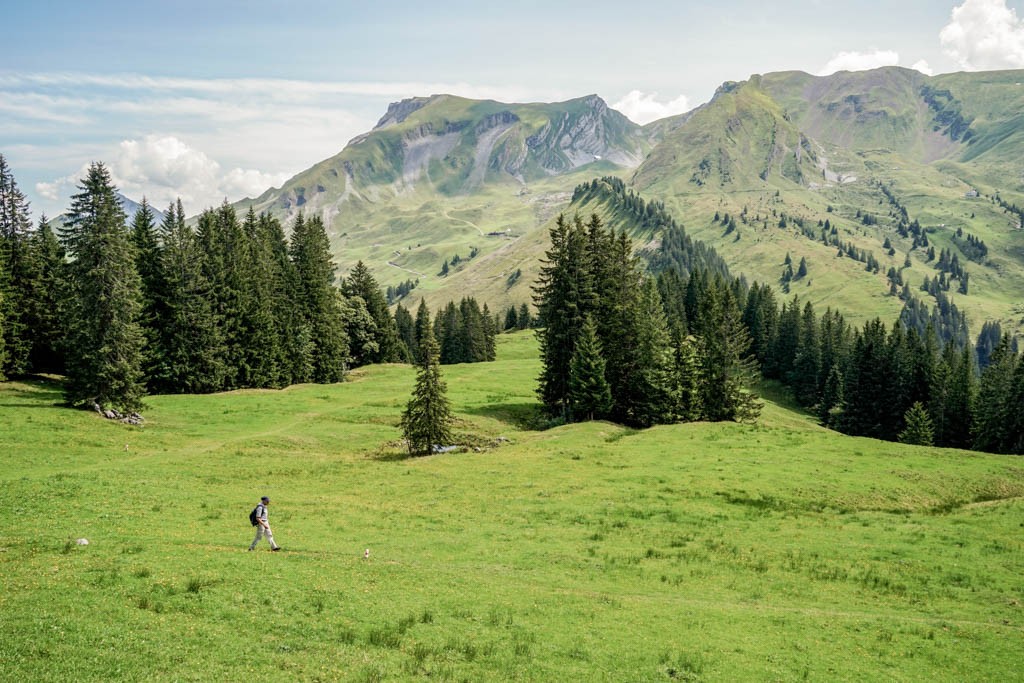 Vue sur le Schwalmis (à gauche), le Schinberg et le Risetenstock depuis Unter Musenalp. Photo: Fredy Joss