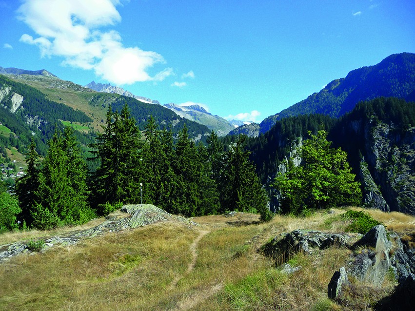 Auf dem Blindbärgji mit Blick in die Ferne zur Aletschregion.
Bilder: Werner Forrer