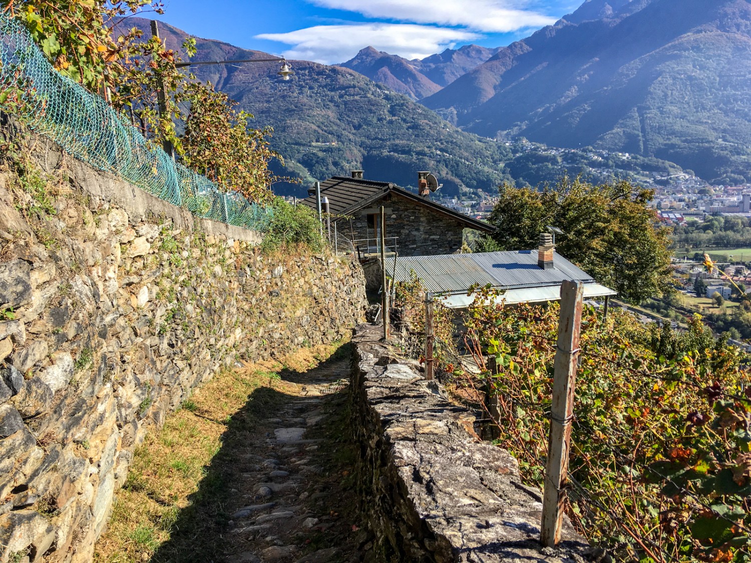 Le chemin traverse des vignobles. Photo: Claudia Peter
