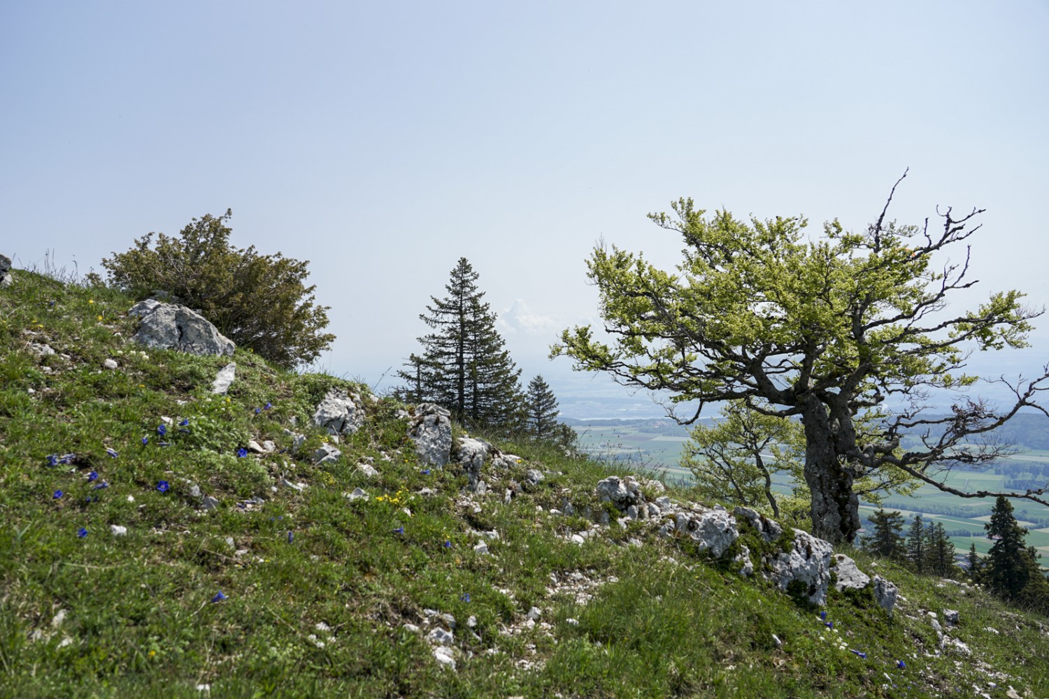 La descente vers Nods. Photo: Reto Wissmann