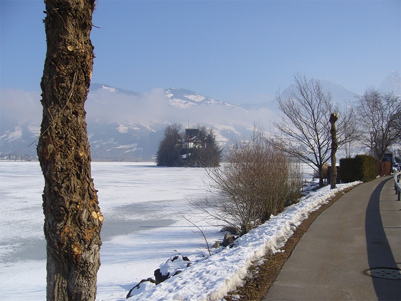 Die Wanderung verläuft am Seeufer. Bild: Werner Nef