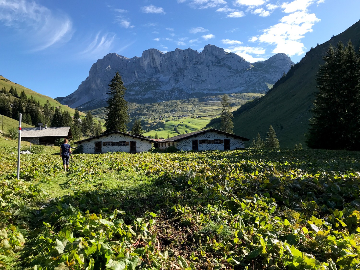 Vue sur le Schijenfluhe.Photos: Werner Forrer