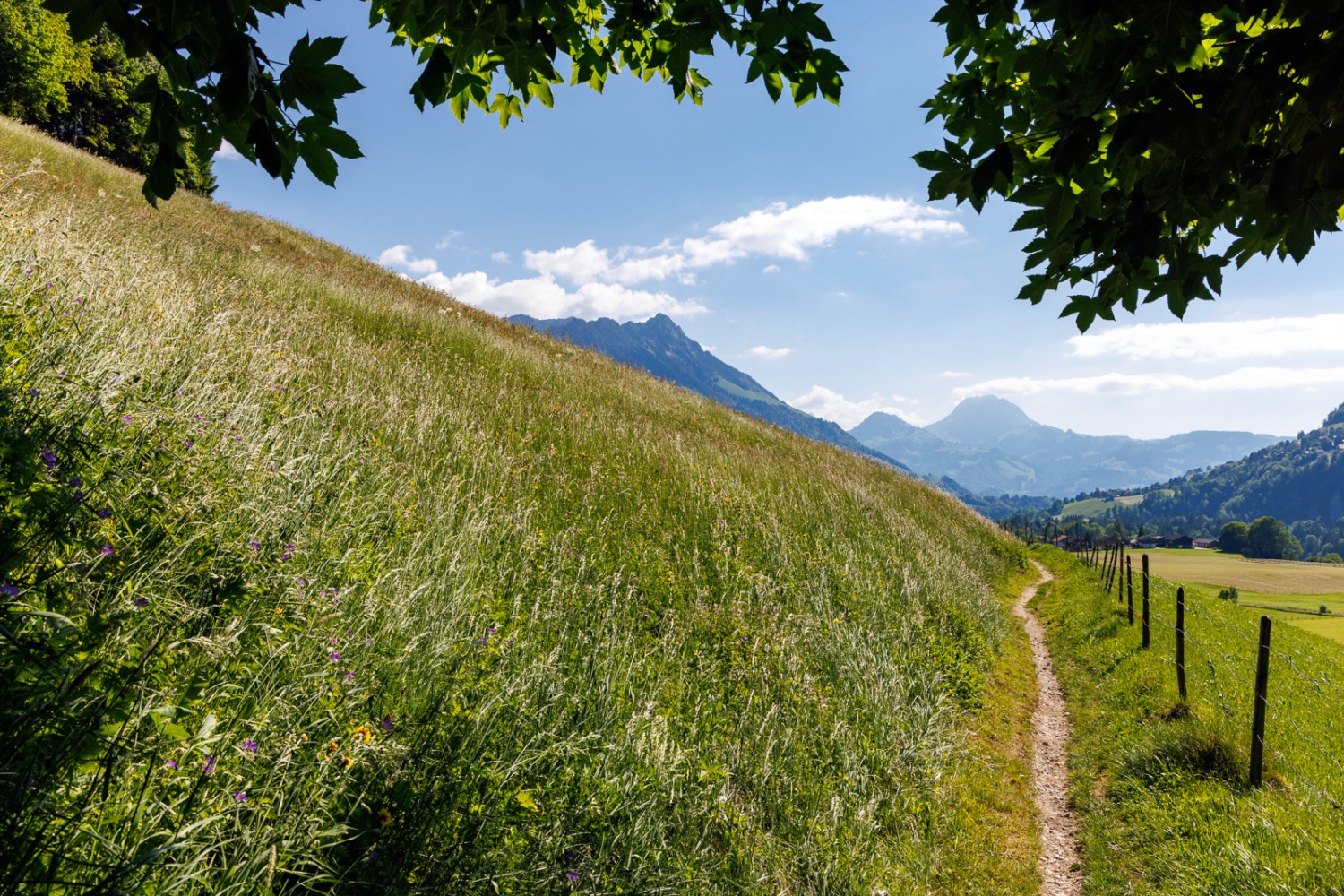 Als Abschluss gönnt sich diese Wanderung den Weg vom Kloster La Valsainte nach Charmey, dem Moléson entgegen. Bild: Severin Nowacki