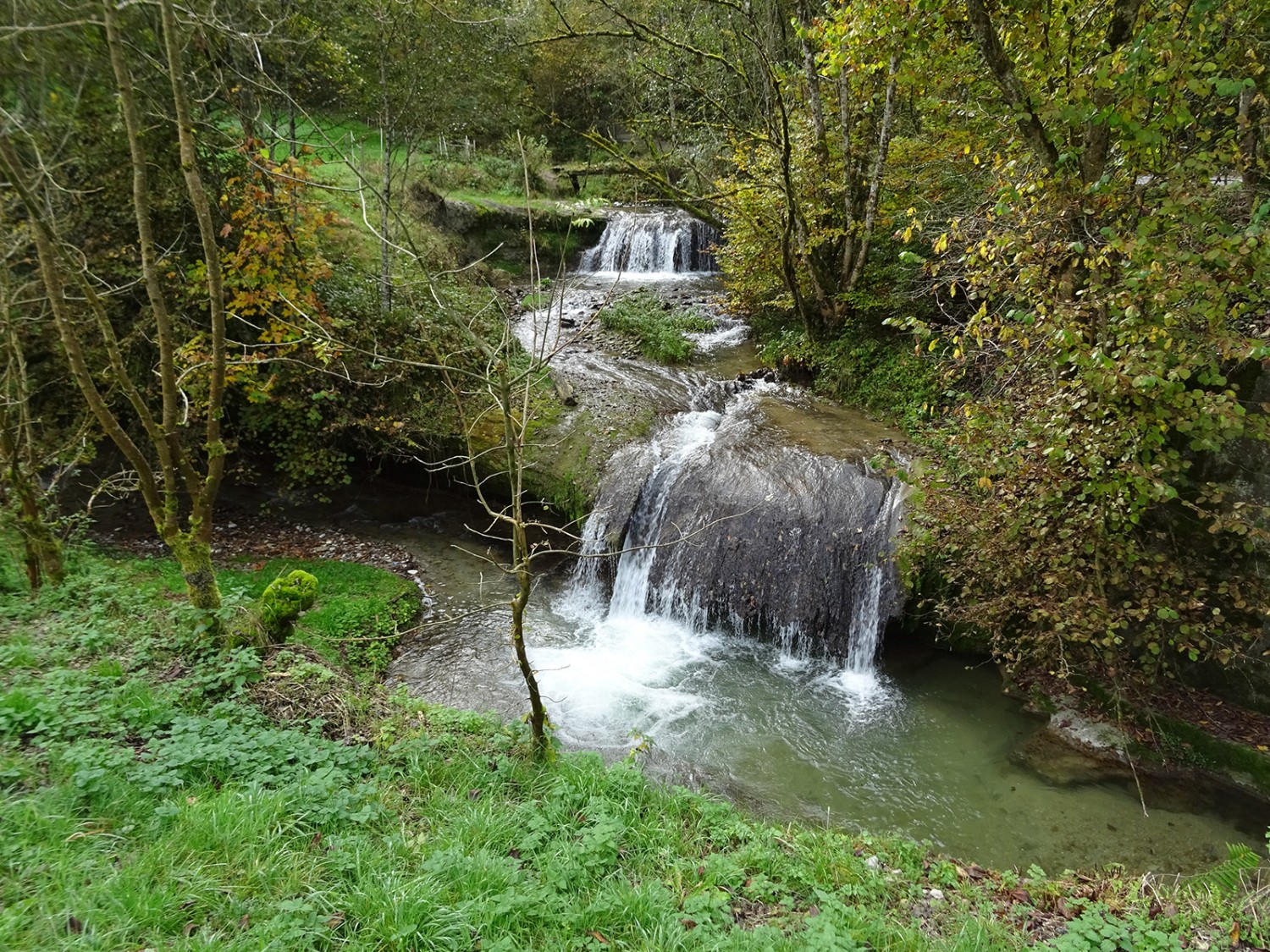 A l’Ameismühle, le cours d’eau Tasbergbach rejoint le Galterenbach, ou Gottéron.