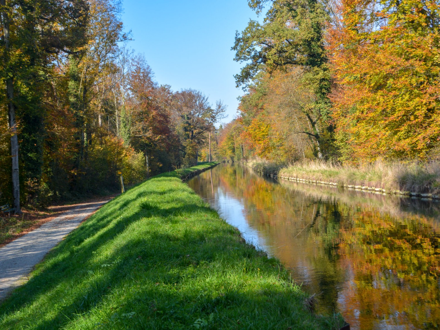 Des canaux longs et complexes amènent l’eau de la Thur aux turbines. Photo: Werner Nef