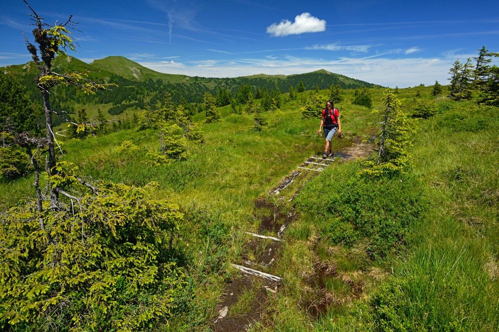 Marais à Unter Sewenschwand, en dessous de Trogenegg.