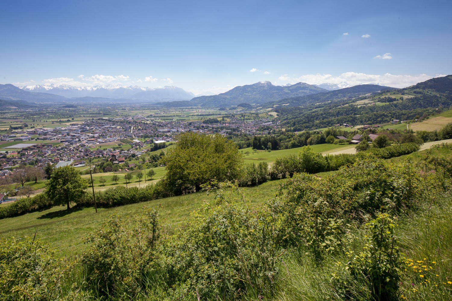 Descente de St. Anton à l’entrée des gorges de Mültobel en passant par la ferme Morgarot, avec une vue grandiose sur la vallée du Rhin. Photo: Daniel Fleuti 