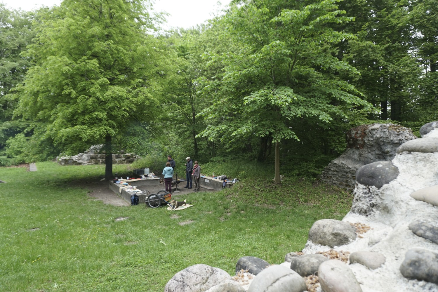 Le foyer à grillades proche des ruines de Grünenberg est parfait pour la pause. Photo: Yolanda Loosli