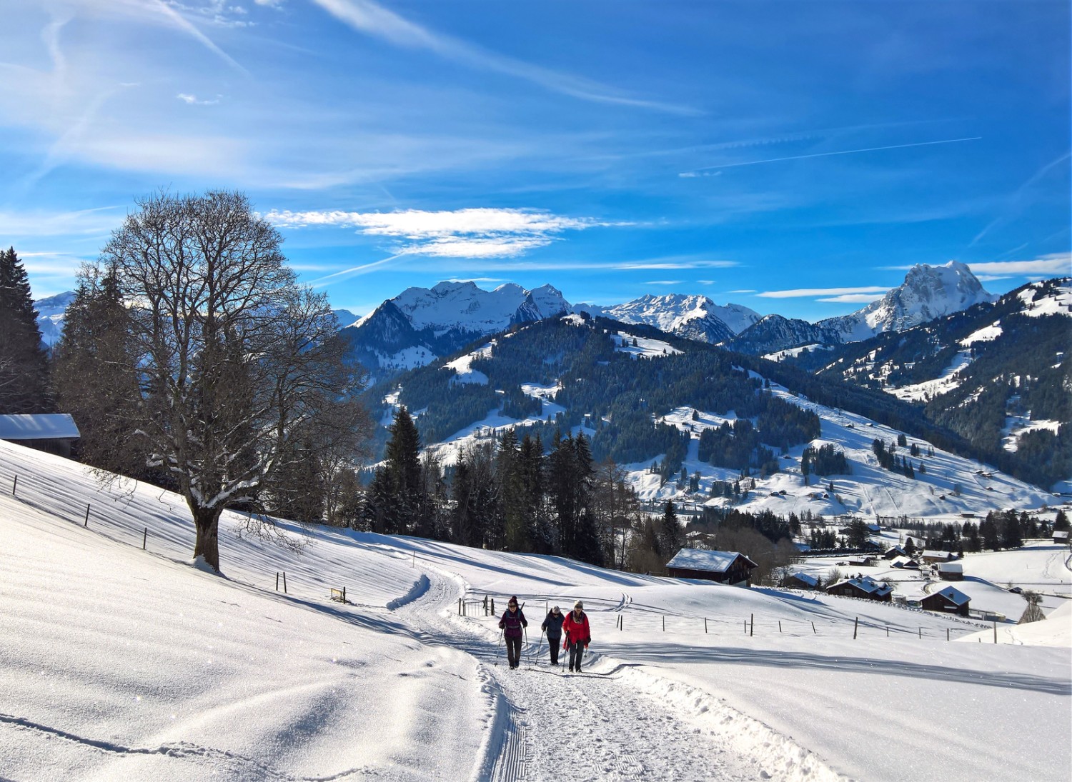 Vue panoramique lors de la descente vers Gruben, avec la Gummfluh sur la droite à l'arrière-plan. Photo: Andreas Staeger