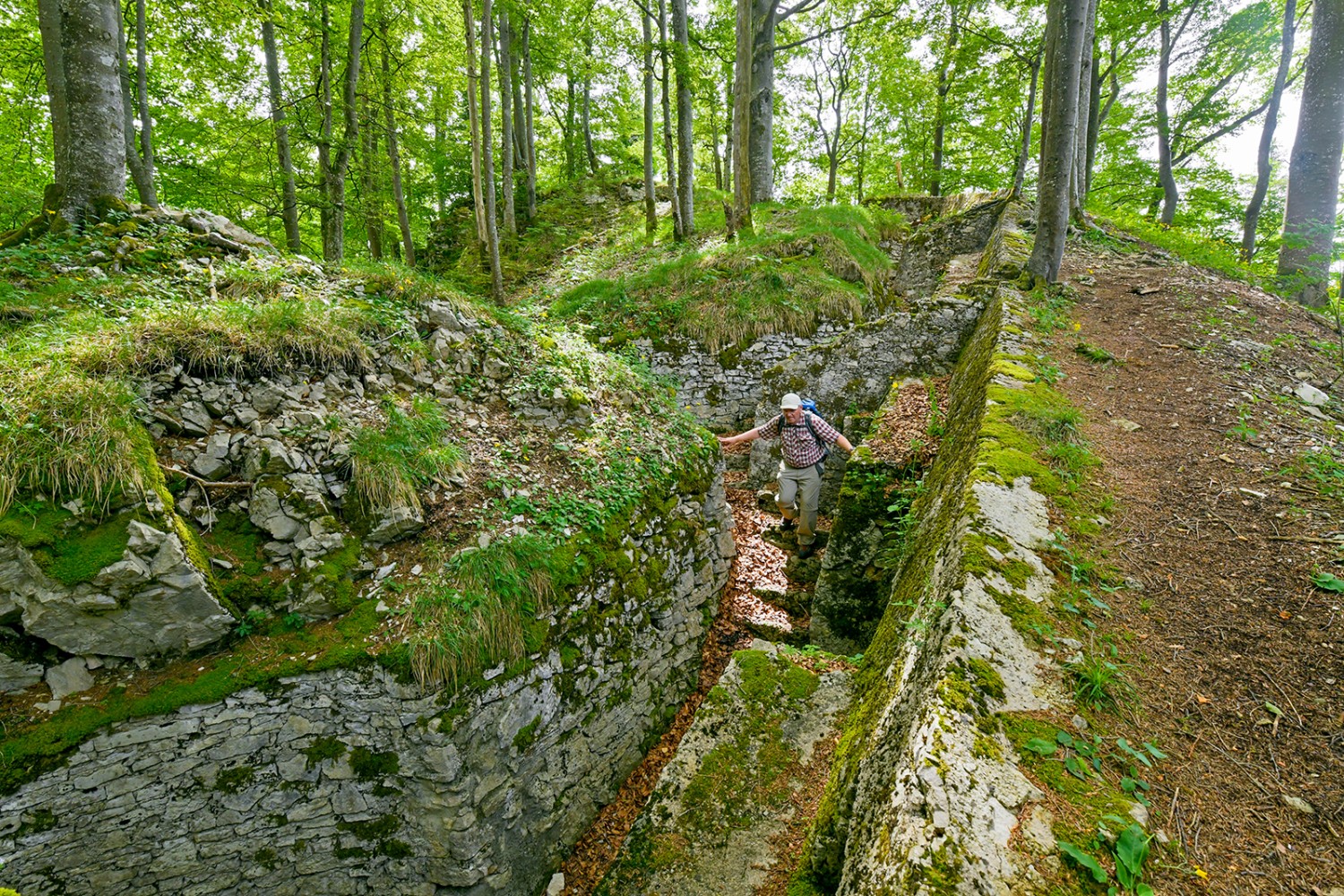 Les tranchées de la Spitzenflüeli laissent deviner la taille des fortifications de Hauenstein. Photos: Daniel Fuchs