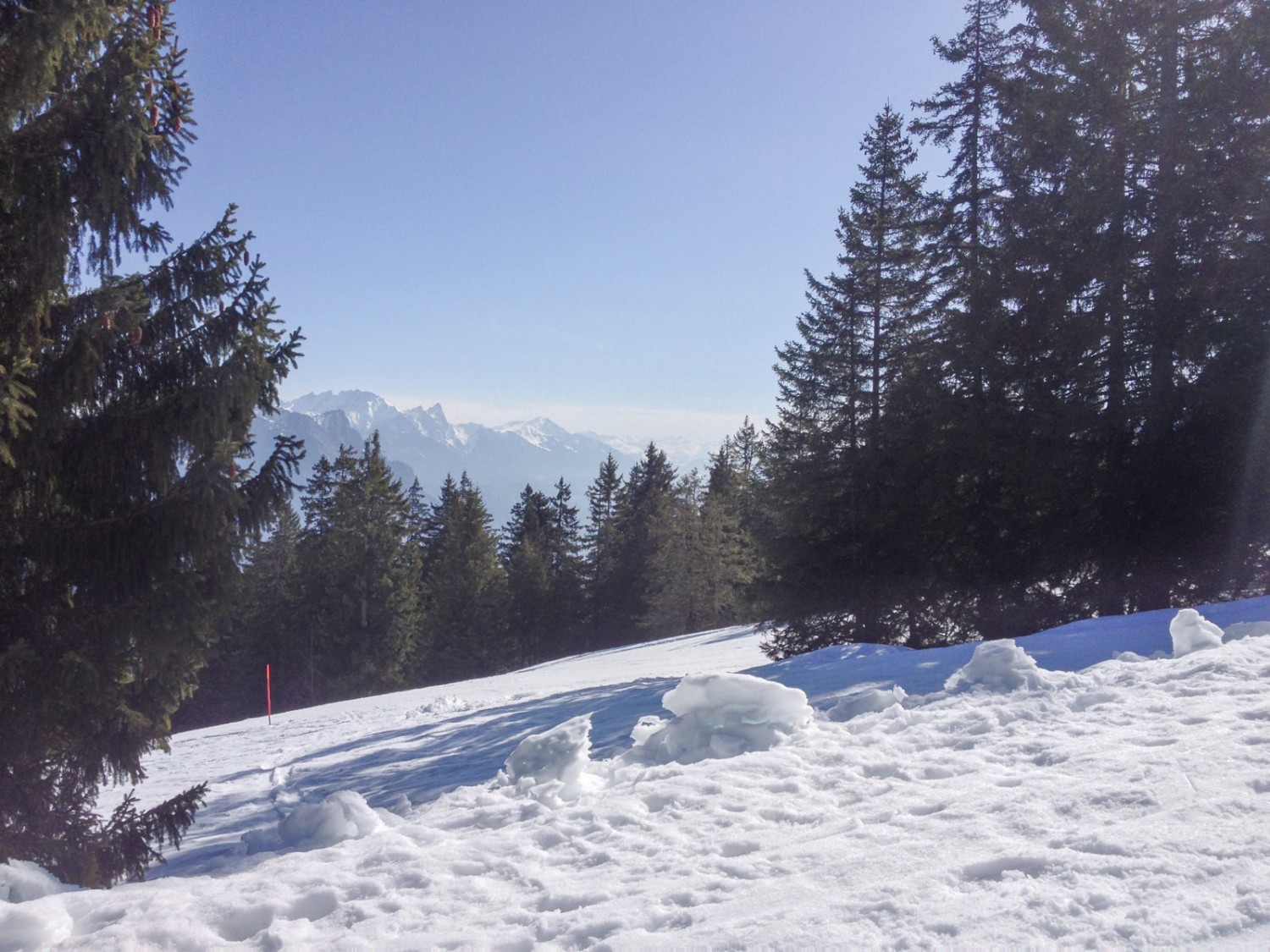 Il bosco a intervalli si dirada lasciando intravedere scorci del panorama montano. Foto: Claudia Peter