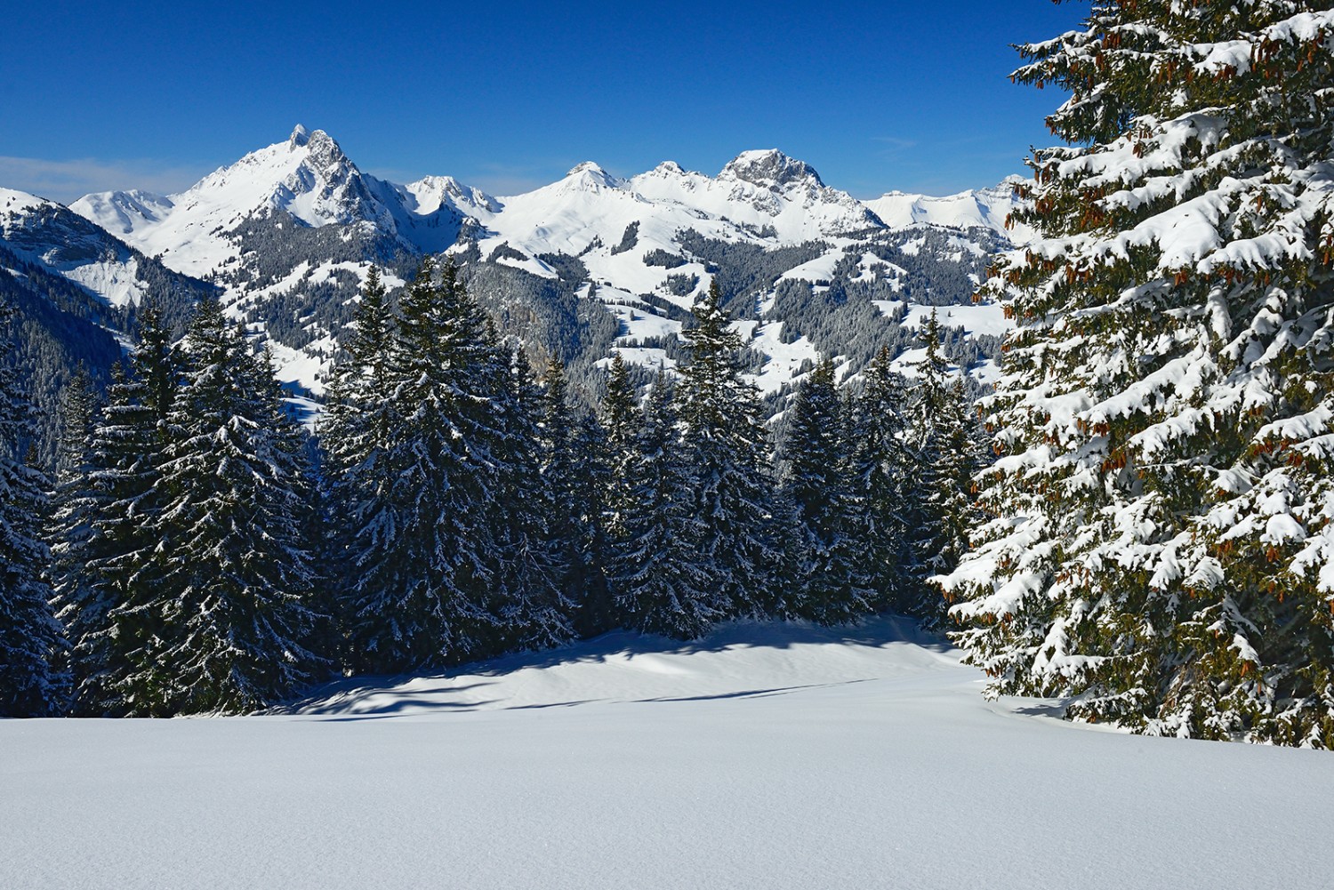 Panoramareich führt die Wanderung über die Höji Wispile.
Bilder: natur-welten.ch
