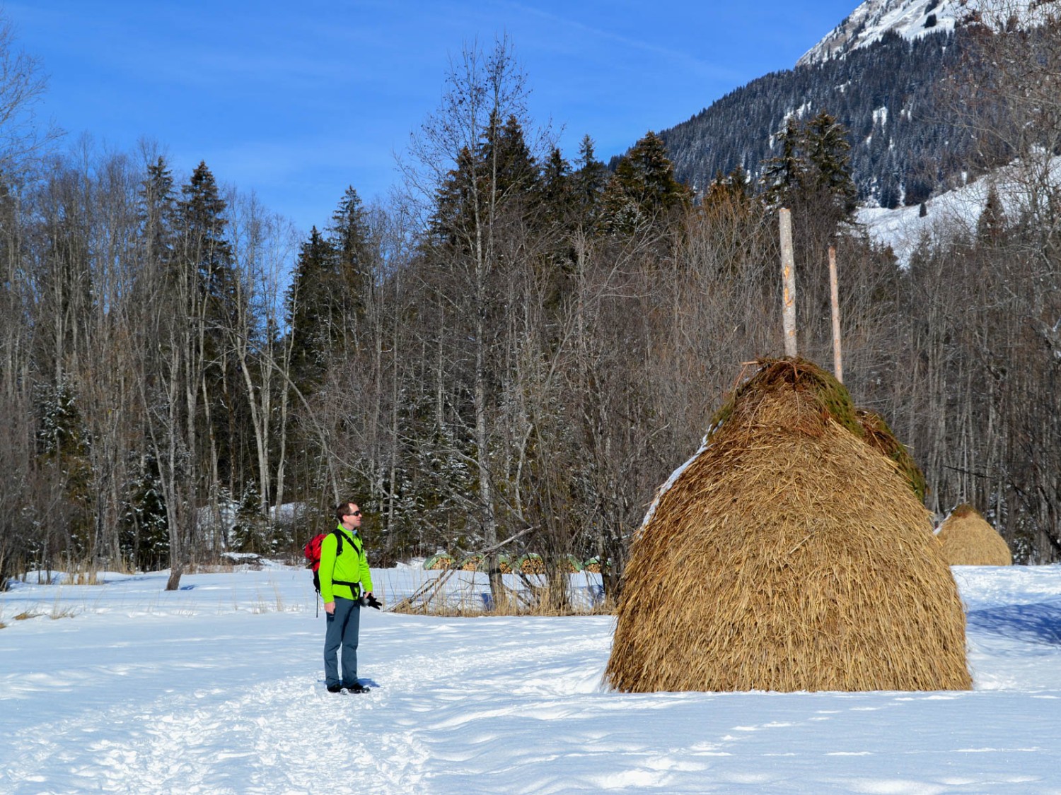 Aux alentours de Fang, les Tristen, meules de foin assemblées selon une vieille tradition.