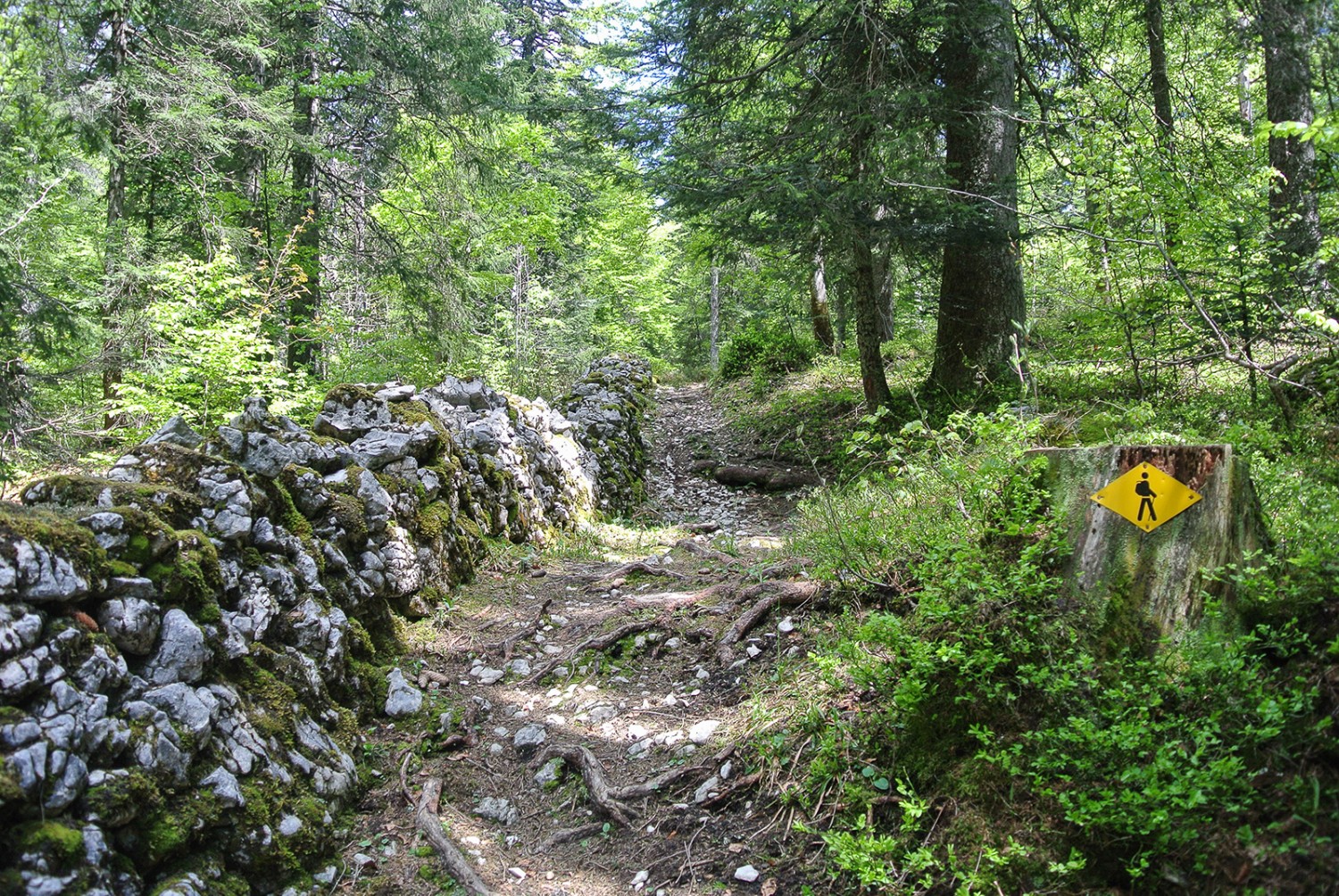 Le chemin longe la frontière, signalée par un mur de pierres sèches.