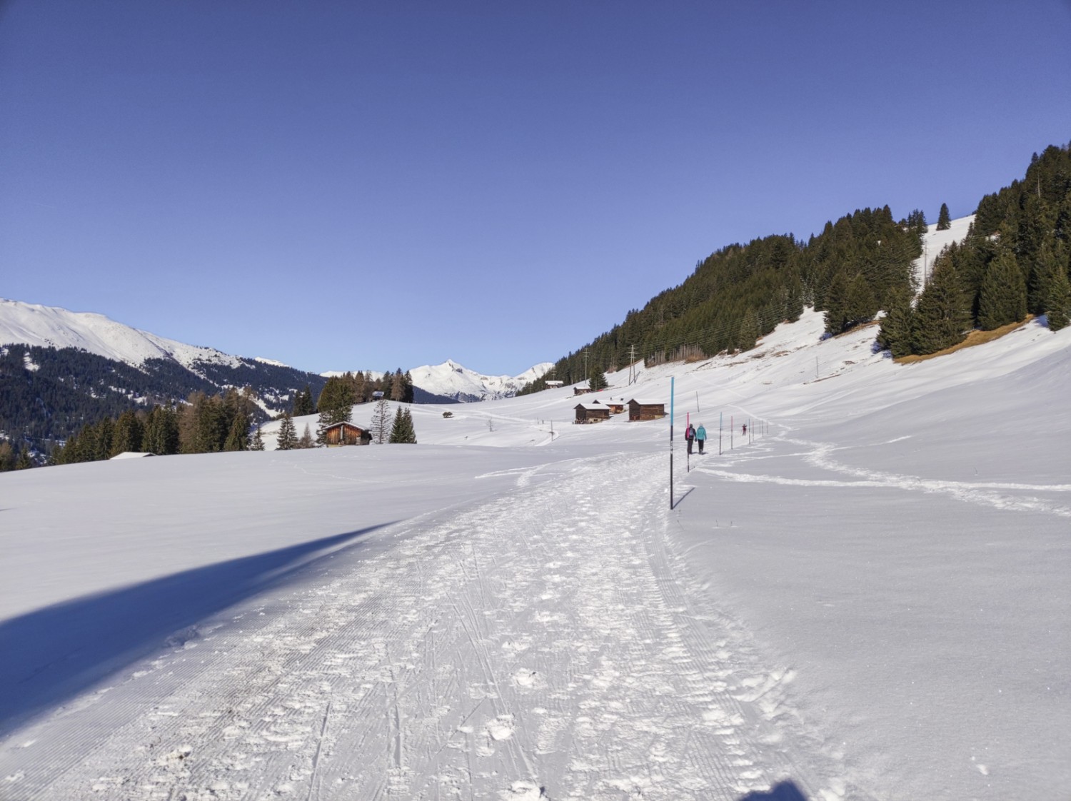 Ab Mittelberg teilen sich Langläuferin und Winterwanderer den Weg. Bild: Michael Dubach