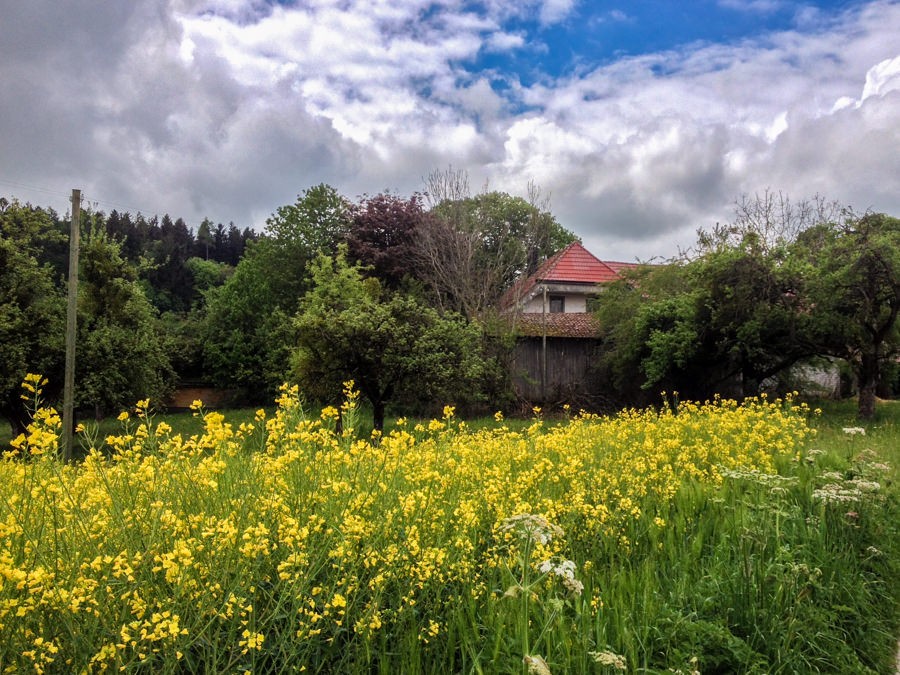 Das Bauernhaus verschwindet fast in der üppigen Flora.