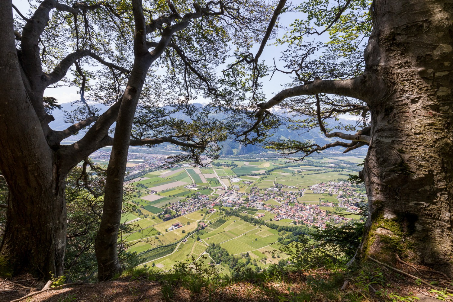 Vue sur la vallée du Rhin lors de la descente vers Malans. Photos: Daniel Fleuti