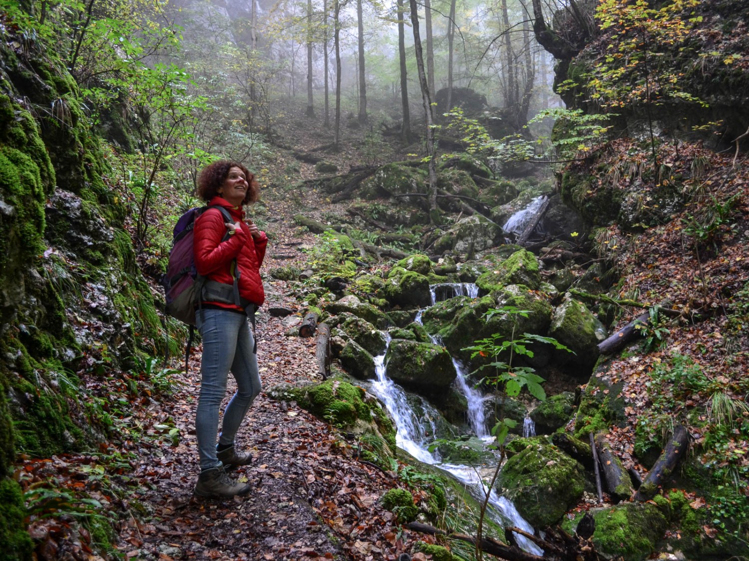 Le brouillard crée une atmosphère mystérieuse. Photo: Sabine Joss