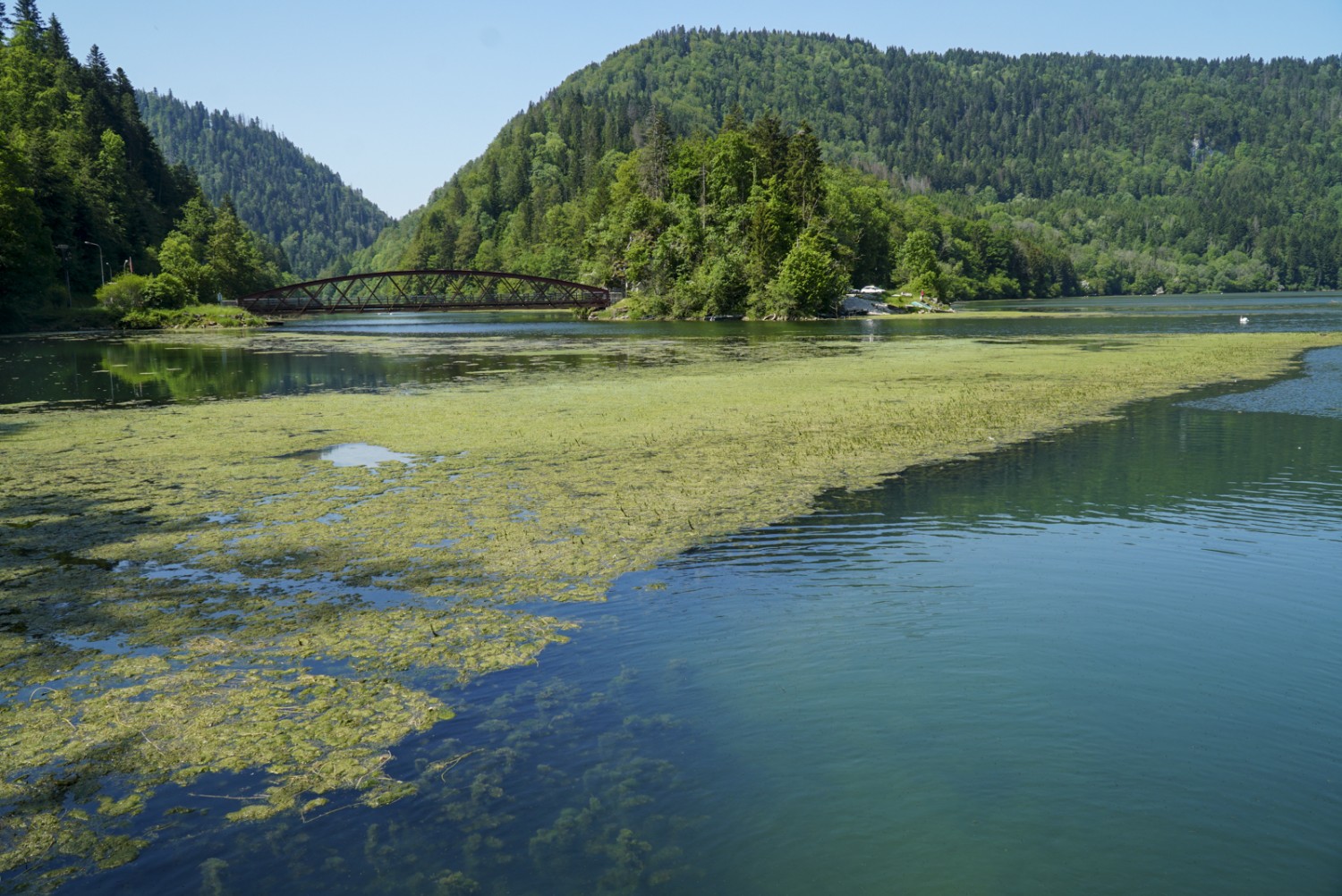 Der Biaufond-Stausee gehört zum Naturschutzgebiet «Parc du Doubs». Bild: Mia Hofmann