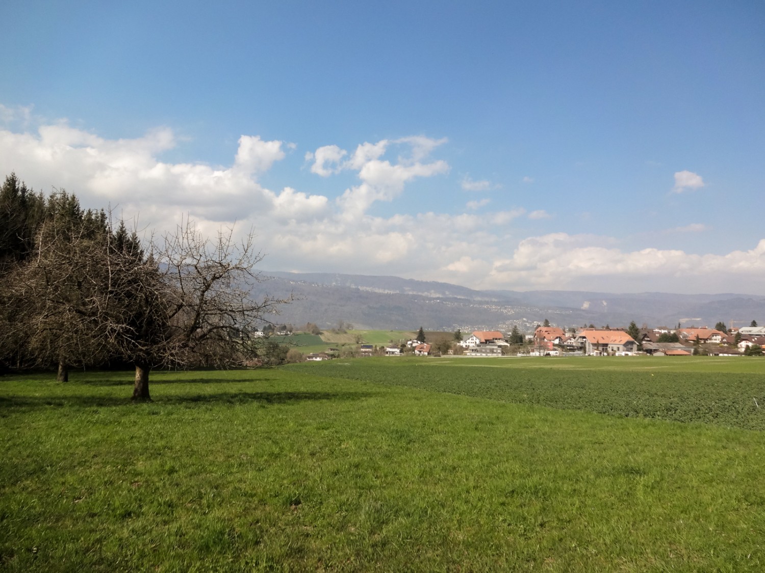 Blick auf Belmont und die Jurakette. Bild: Miroslaw Halaba