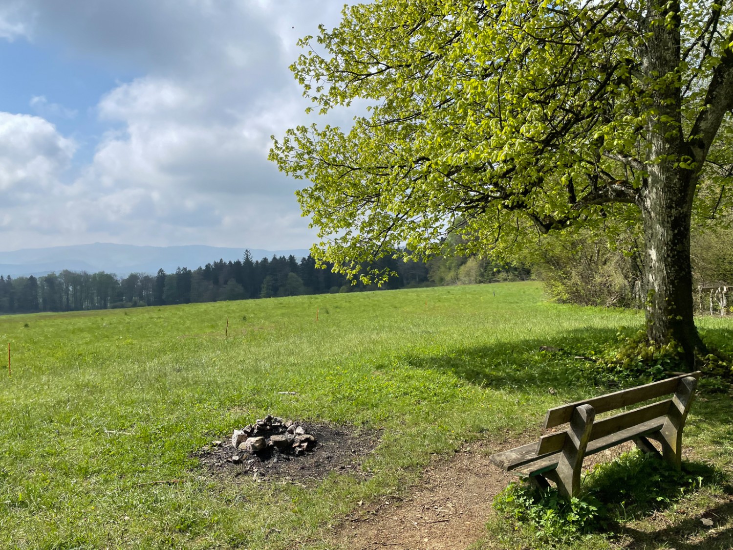 Rast auf der friedlichen Challhöchi. Bild: Rémy Kappeler