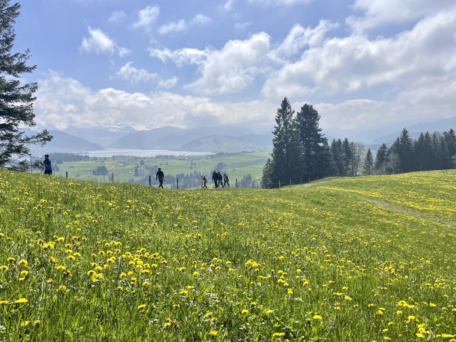 Vue sur le lac de Sihl près du restaurant de Büel. Photo: Michael Roschi