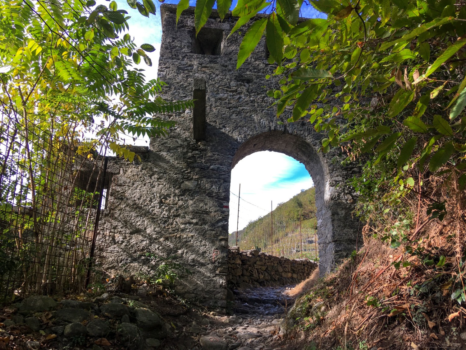 La porta ad arco sopra Sementina segna l’inizio dell’escursione. Immagine: Claudia Peter
